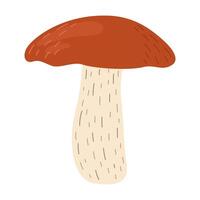 laranja bétula bolete cogumelo. leccinum fungos. comestível floresta cogumelos. vegetariano fungos Castanho boné boleto. botânico plano ilustração isolado em branco fundo. vetor