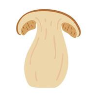 fatiado Porcini floresta cogumelo. mão desenhado boletos Edulis fungo. Porcini fresco comestível cogumelos desenho animado estilo decoração elemento. cep. rei bolete em branco fundo. centavo pão ilustração vetor