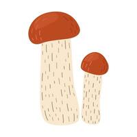 laranja bétula bolete cogumelo. leccinum fungos. comestível floresta cogumelos. vegetariano fungos Castanho boné boleto. botânico plano ilustração isolado em branco fundo. vetor