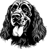 Cocker spaniel, Preto e branco ilustração vetor