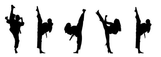 silhueta coleção do marcial arte mulheres chutando pose. silhueta do fêmea guerreiros dentro açao pose. vetor