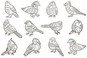 conjunto do fofa pássaros em branco fundo. nacional pássaro dia. plano. mão desenhando estilo. vetor