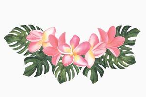 plumeria Rosa flores aguarela ilustração. mão desenhado esboço do frangipani ramalhete. tropical fronteira com exótico plantas para spa convites ou cumprimento cartões Projeto. florescendo selva composição vetor