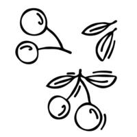 rabisco desenhando do cereja isolado em branco fundo, desenhado de caneta. miniatura para coloração a reserva página. ilustração do vega fruta vetor