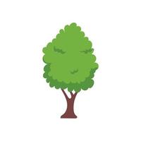 elemento de árvore verde do vetor. floresta fértil para decoração