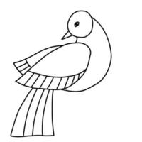 pássaro. ilustração vetorial vetor