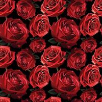 vermelho veludo florescendo rosas floral desatado padronizar vetor