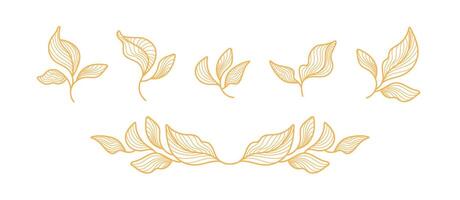 dourado folhas, linha coleção arte deco conjunto vetor