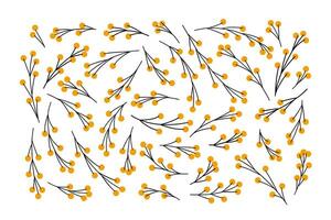 floral elementos definir. mimosa flores vários formas plano ilustração. coleção do simples árvore galhos com amarelo volta forma flores botânico objetos Como gráfico recursos. vetor