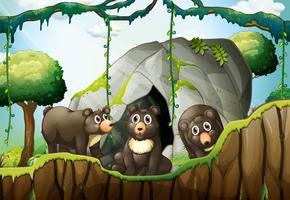 Três pequenos ursos na caverna vetor