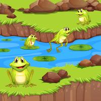 Flogs que vivem na lagoa do rio vetor