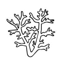 botânico ilustração do uma monocromático plantar vetor