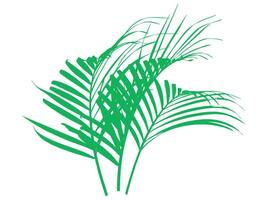 tropical verde folhas fundo ilustração vetor
