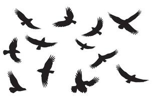 vôo pássaros silhueta conjunto vôo pássaros ícone conjunto conjunto do vôo pássaros silhuetas vetor