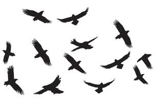 vôo pássaros silhueta conjunto vôo pássaros ícone conjunto conjunto do vôo pássaros silhuetas vetor