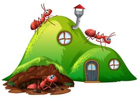 Casa de formiga de buraco subterrâneo vetor