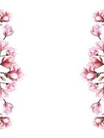 fresco magnólia flor botânico aguarela ilustração floral Projeto pétalas florescendo Primavera tropical Rosa lindo plantar fronteira fundo modelo vetor