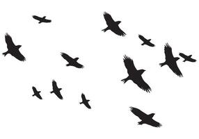 vôo pássaros silhuetas ilustração branco fundo vetor