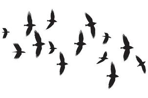 vôo pássaros silhuetas ilustração branco fundo vetor