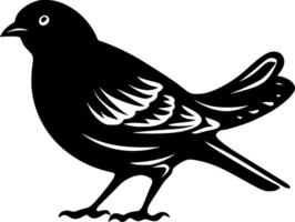 Pombo - Preto e branco isolado ícone - ilustração vetor