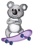 Um koala que joga o skate vetor