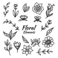 conjunto do mão desenhado folhas e flor decorativo floral elemento vetor