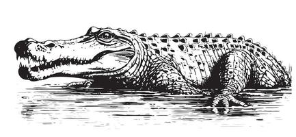 crocodilo esboço mão desenhado dentro rabisco estilo ilustração desenho animado vetor