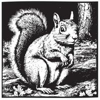 lindo esquilo sentado dentro a floresta mão desenhado esboço ilustração vetor