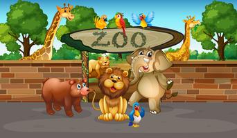 Animais felizes no zoológico vetor