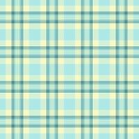 xadrez têxtil padronizar do textura tecido com uma fundo Verifica tartan desatado. vetor