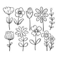 flor fofa rabisco coleção conjunto mão desenhado Preto e branco vetor