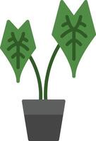 alocasia plano ícone vetor