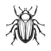 besouro ilustração arte, ícones, e gráficos ilustração do uma besouro vetor