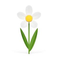 orgânico camomila natural flor botânico Flor verão Primavera plantar 3d ícone realista vetor