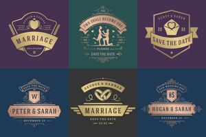 Casamento convites Salve  a encontro logotipos e Distintivos elegante modelos conjunto vetor