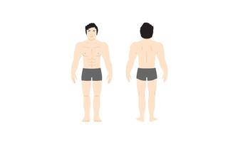 homem dentro uma roupa de banho humano masculino corpo ícone ilustração humano anatomia vetor