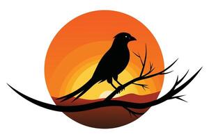 pássaro silhueta em pôr do sol ramo ilustração vetor