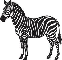 zebra isolado em uma branco fundo. ilustração para seu Projeto vetor