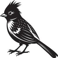 Preto e branco listrado bulbul - ilustração - isolado em branco fundo vetor