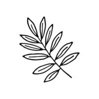 esboçar folha de gengibre vermelho tropical em estilo de linha de arte. doodle esboço planta da selva vetor