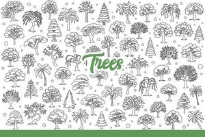 floresta árvores crescendo dentro diferente regiões, para conceito do biodiversidade. mão desenhado doodle. vetor