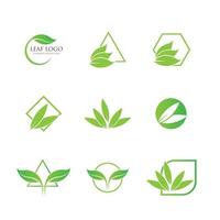 logotipos do ícone de vetor de elemento de natureza de ecologia de folha verde