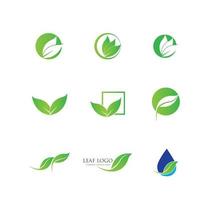 logotipos do ícone de vetor de elemento de natureza de ecologia de folha verde