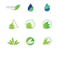 logotipos do ícone de vetor de elemento de natureza de ecologia de folha verde