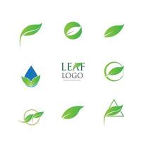 logotipos do ícone de vetor de elemento de natureza de ecologia de folha verde