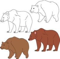 Urso clipart. selvagem animais clipart coleção para amantes do selvas e animais selvagens. isto conjunto vai estar uma perfeito Adição para seu safári e com tema zoológico projetos. vetor