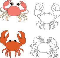 caranguejo clipart. aquático animal clipart para amantes do embaixo da agua mar animais, marinho vida, e mar vida vetor