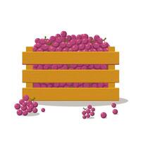 de madeira caixa conjunto com frutas, caso com uvas isolado em branco fundo. vetor
