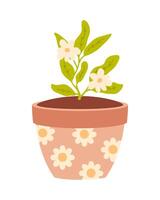 floração plantar dentro uma flor Panela. mão desenhado ilustração isolado em branco fundo. vetor