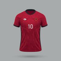 3d realista futebol jérsei Albânia nacional equipe 2024 vetor